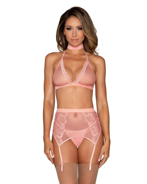 Fishnet & Lace 4pc Set W/ Stretch Velvet Trim Rose Pink - Image 3