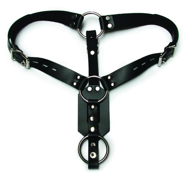 Butt Plug Harness W-cock Ring - Image 6