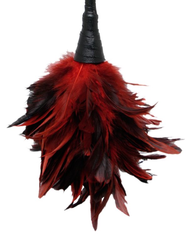 Fetish Fantasy Frisky Feather Duster - Image 4