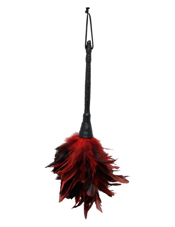 Fetish Fantasy Frisky Feather Duster - Image 3