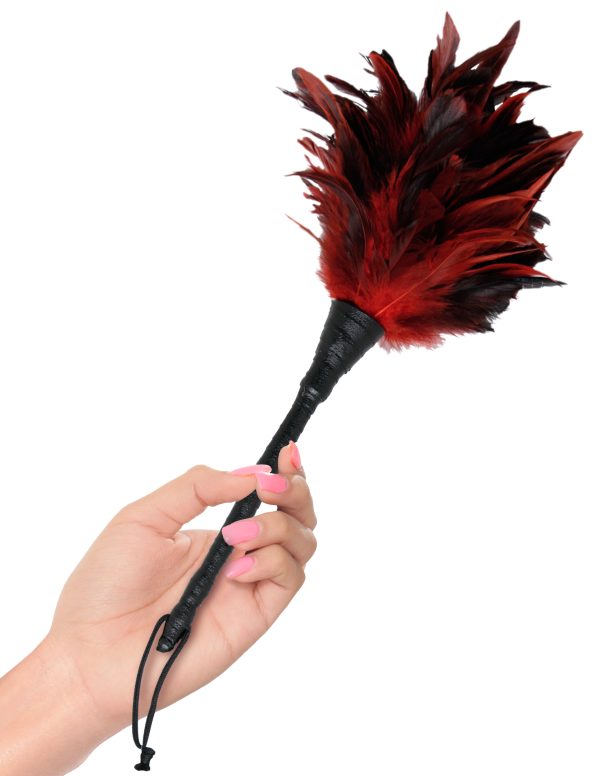 Fetish Fantasy Frisky Feather Duster - Image 2