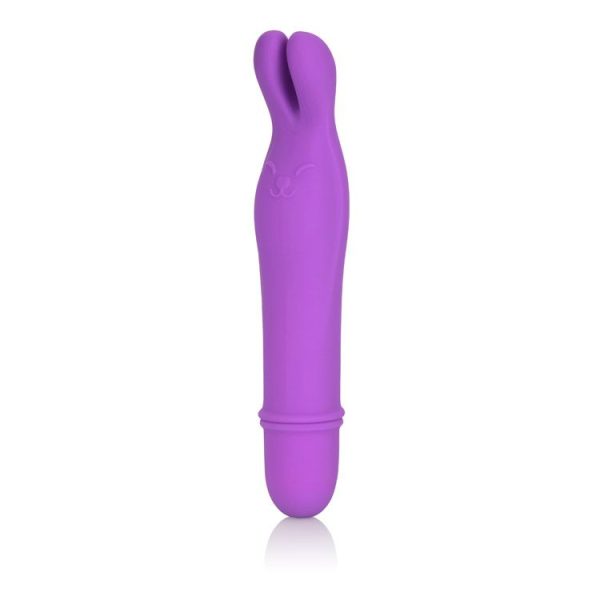Shane's World Bedtime Bunny