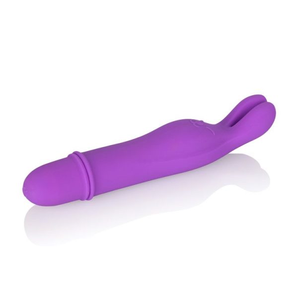 Shane's World Bedtime Bunny - Image 5