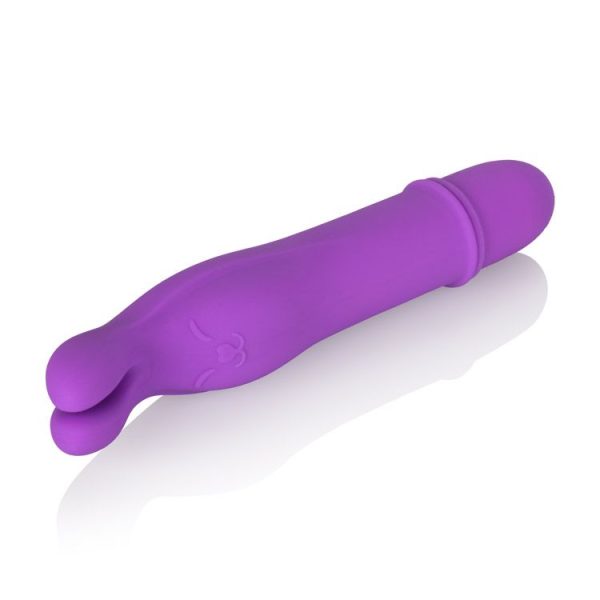 Shane's World Bedtime Bunny - Image 3