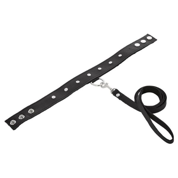 Premium Leather Leash & Collar - Image 7