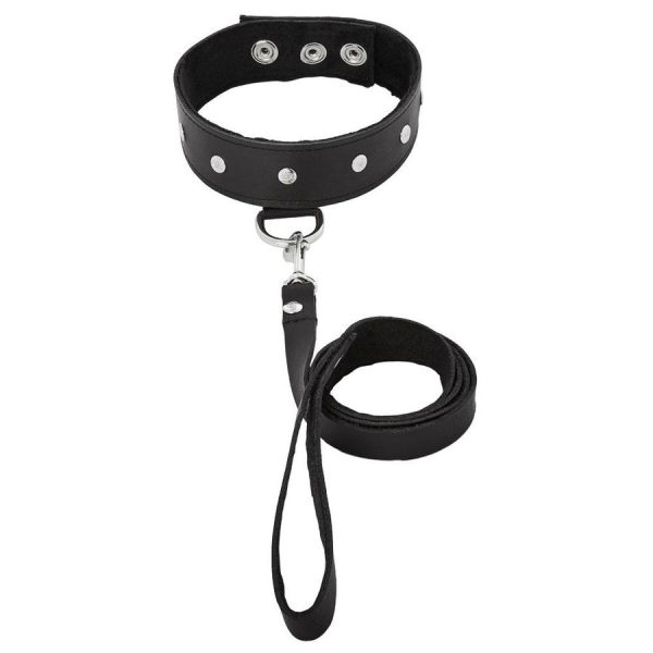Premium Leather Leash & Collar - Image 6