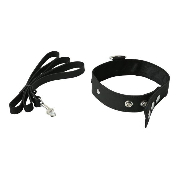 Premium Leather Leash & Collar - Image 5