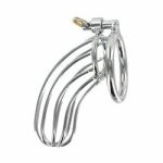Stainless Steel Chastity Device The Birdcage