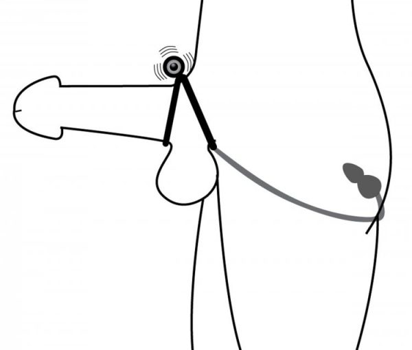 Master Series Prostatic Play Voyager Vibrating C Ring & Anal Stimulator
