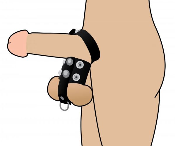 Strict Cock Strap & Ball Stretcher - Image 3