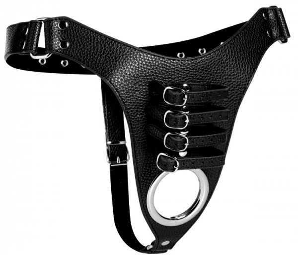 Strict Male Chastity Harness - Image 4