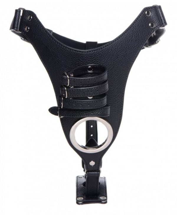 Strict Male Chastity Harness W- Silicone Anal Plug - Image 5