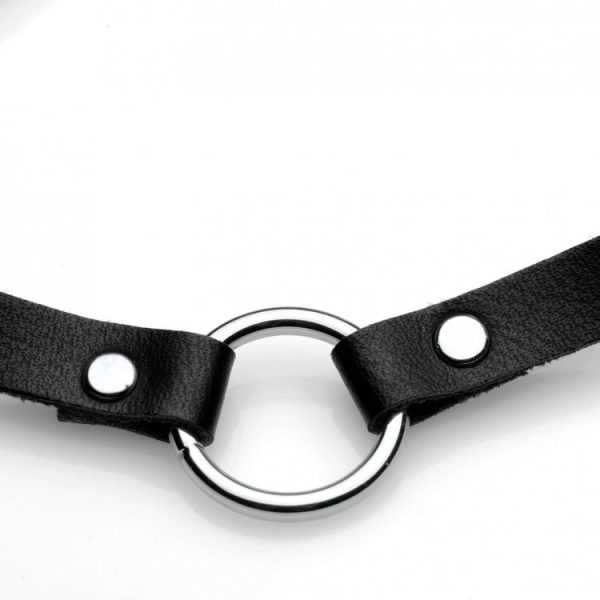 Master Series Lush Pet Silver Ring Slim Choker - Image 5